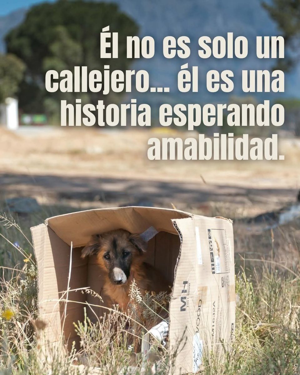 Sabueson (@sabueson) on Twitter photo 