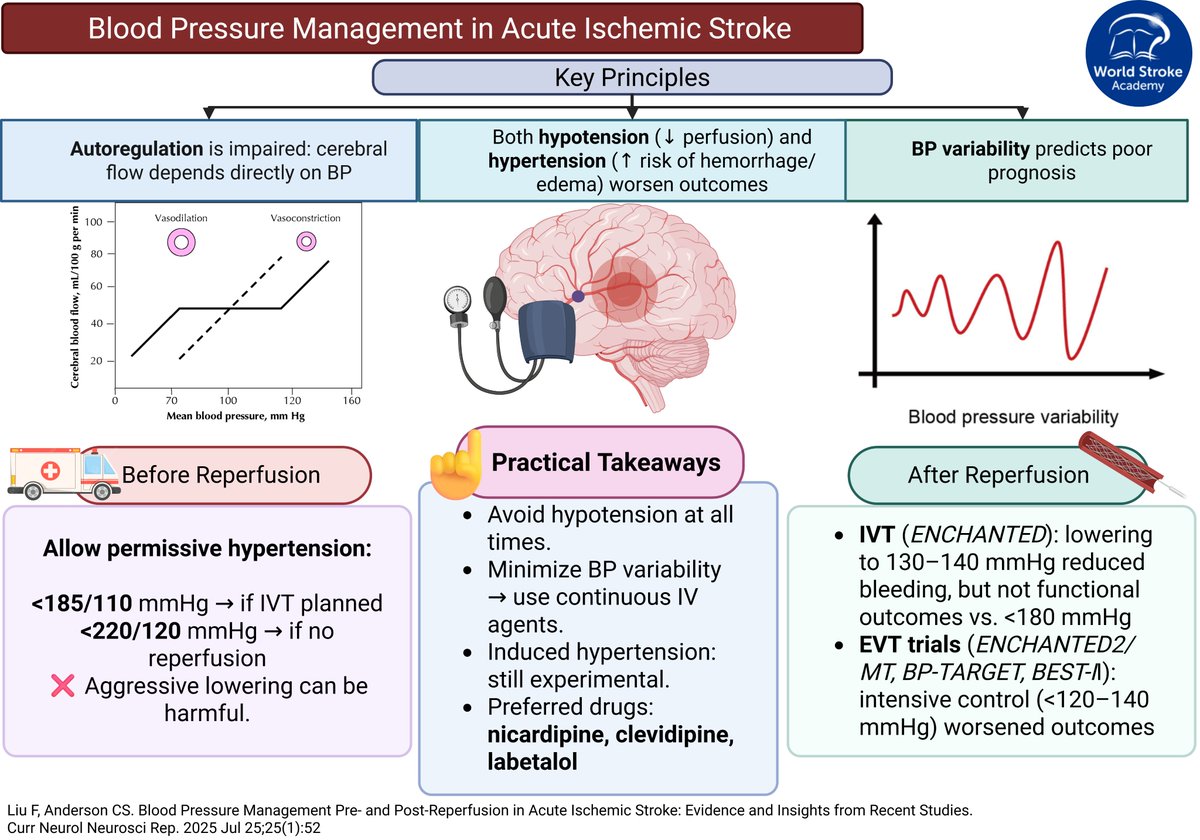 #MondayTip
#BloodPressure management in Acute Ischemic Stroke
☝️Stability &gt; aggressiveness
🚑Pre-reperfusion: #tolerate high BP (&lt;185/110 if IVT, &lt;220/120 if no reperfusion). 
💉Post-reperfusion: #avoid intensive lowering, safer range is ~140–180 mmHg

🆓doi.org/10.1007/s11910…