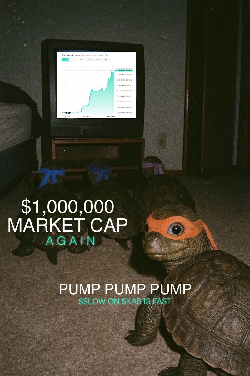 slowlikebtc's tweet image. $1,000.000. 

$SLOW