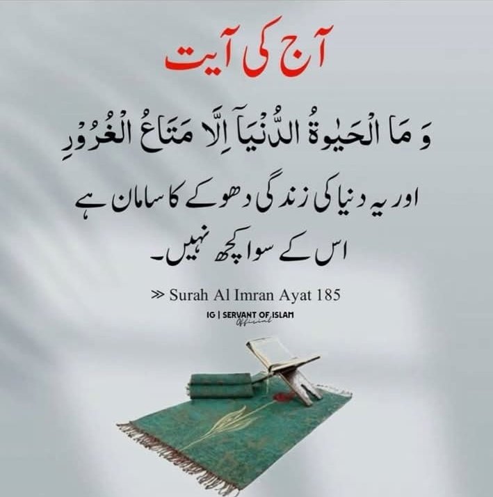 السلام علیکم ورحمتہ اللہ وبرکاتہ🍁

صبح بخیر زندگی🍂