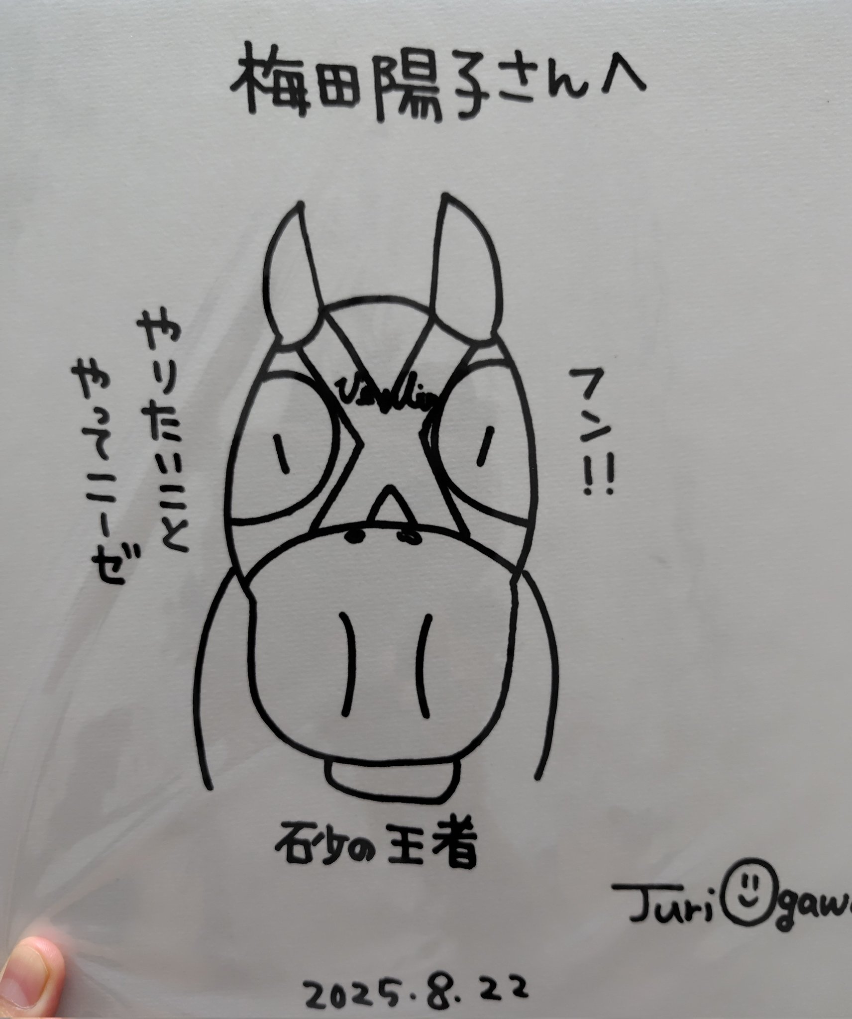 YokoUmeda 梅田陽子 on X: 
