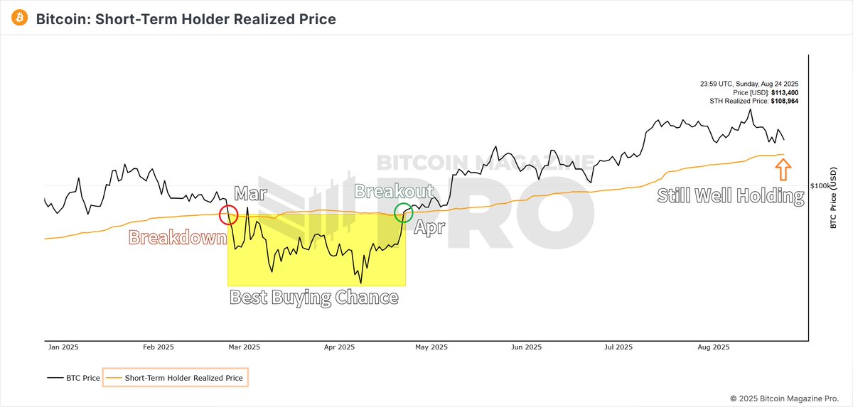 pNote_C's tweet image. #STHRP 

STILL WELL HOLDING