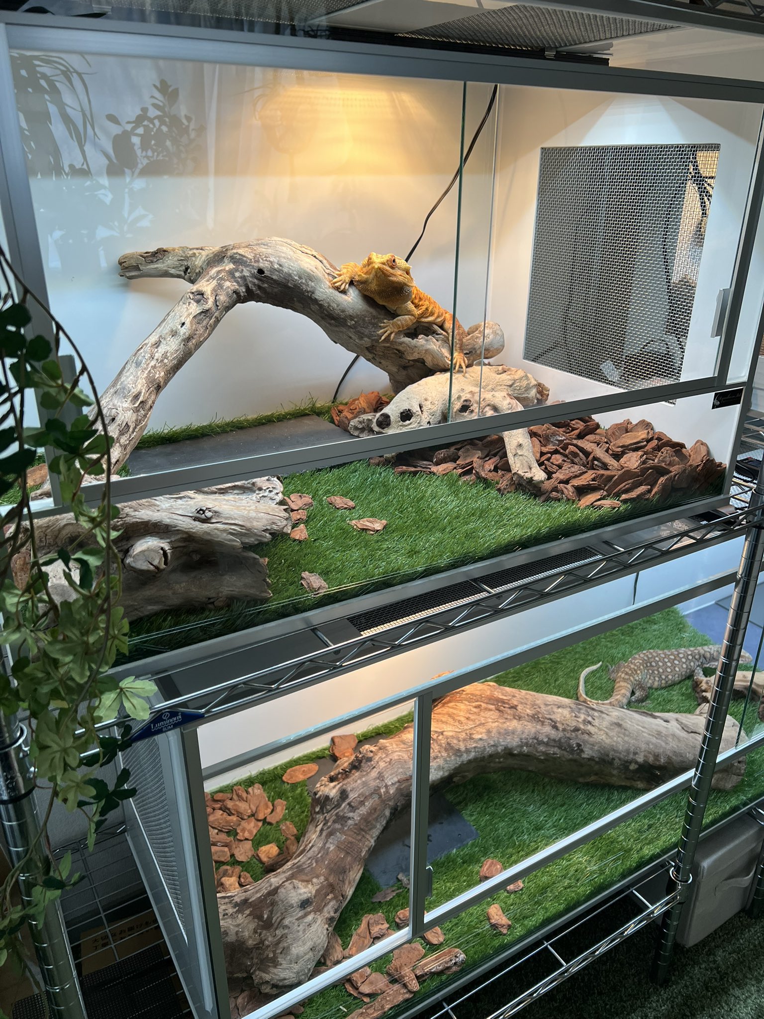 ken　龍匠ケージ ken 龍匠ケージ ken 龍匠ケージ 龍匠 #龍匠オリジナルオーダー