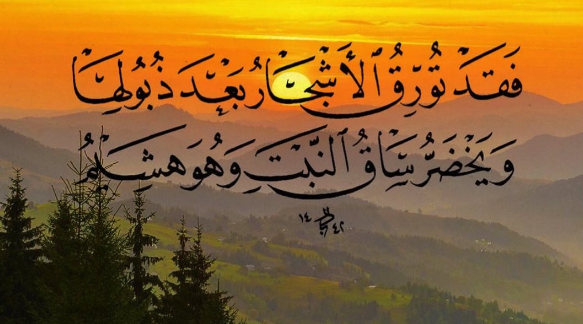 صورة (@__clli) on Twitter photo 