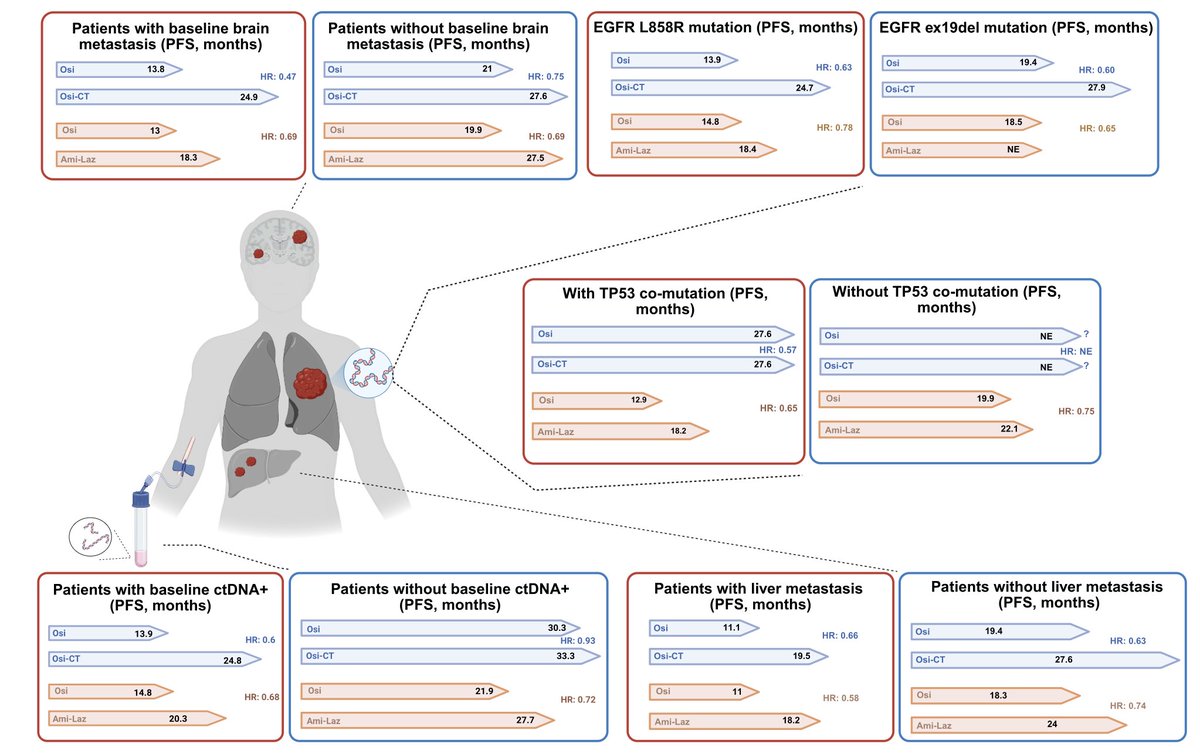 diegoadiazg's tweet photo. 🫁 EGFR mutations reshaped NSCLC care. TKIs now impact early, locally advanced, and metastatic disease. 

Biomarkers and resistance insights guide precision strategies for better outcomes.

📖 @CACancerJournal 
DOI 👉 10.3322/caac.70024

#CánCare #NSCLC #EGFR #lcsm https://t.co/qW5ZlpH8qa