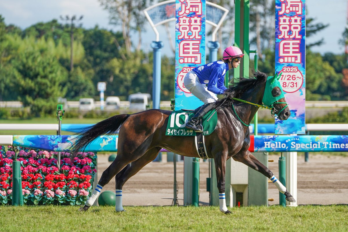 【非売品】ロードクエスト 新潟2歳ステークス 勝利記念ジャージ ウマ娘 L 競馬 的中🎯】新潟2歳S 2025 徹底予想！勝ち馬プロファイルから見える