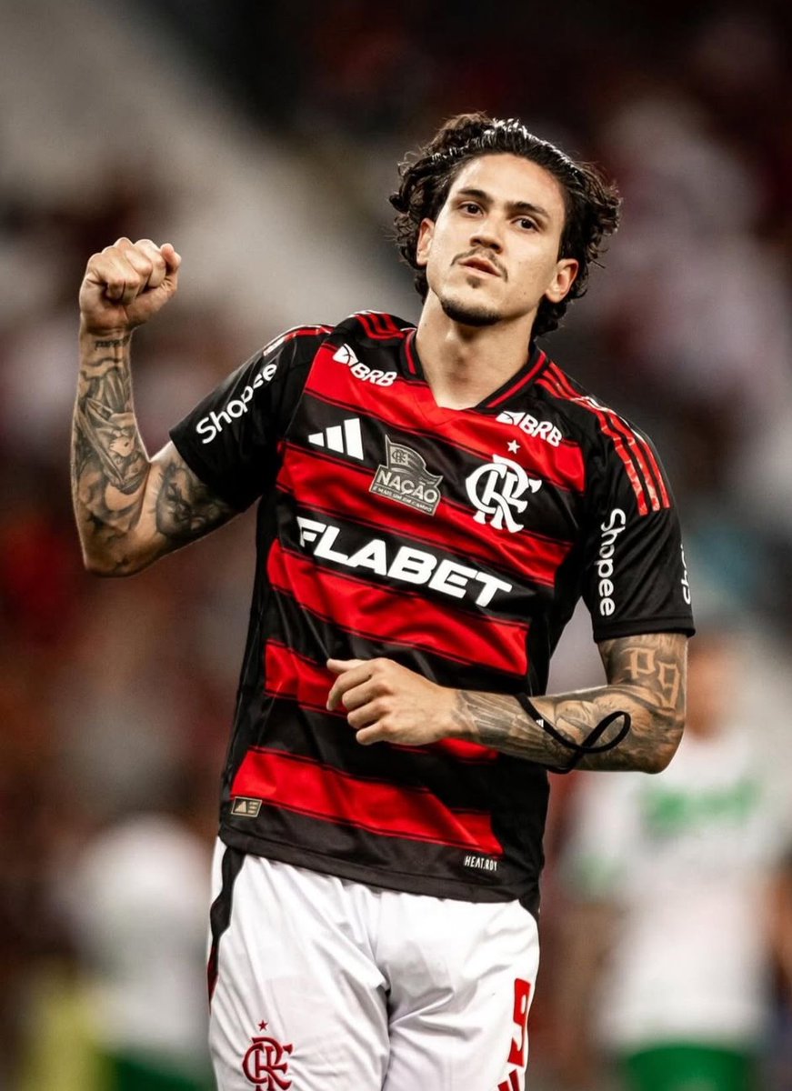 REAL MIL GRAU tweet media