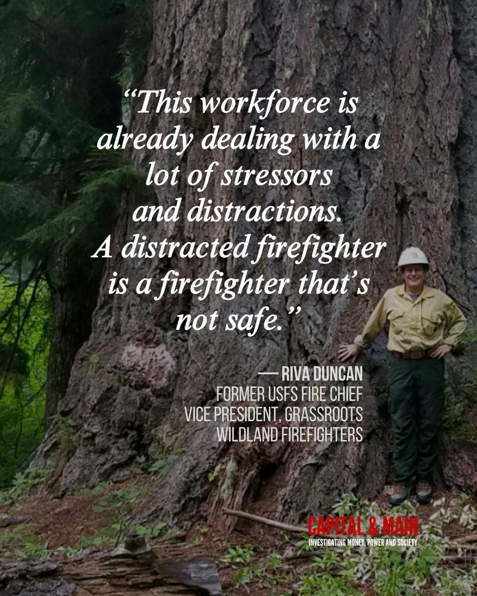 With so many unfilled positions, wildland firefighters are now being asked to take on duties that had long been handled by nonfirefighting personnel, current and former @ForestService employees told Capital &amp; Main.

capitalandmain.com/forest-service…