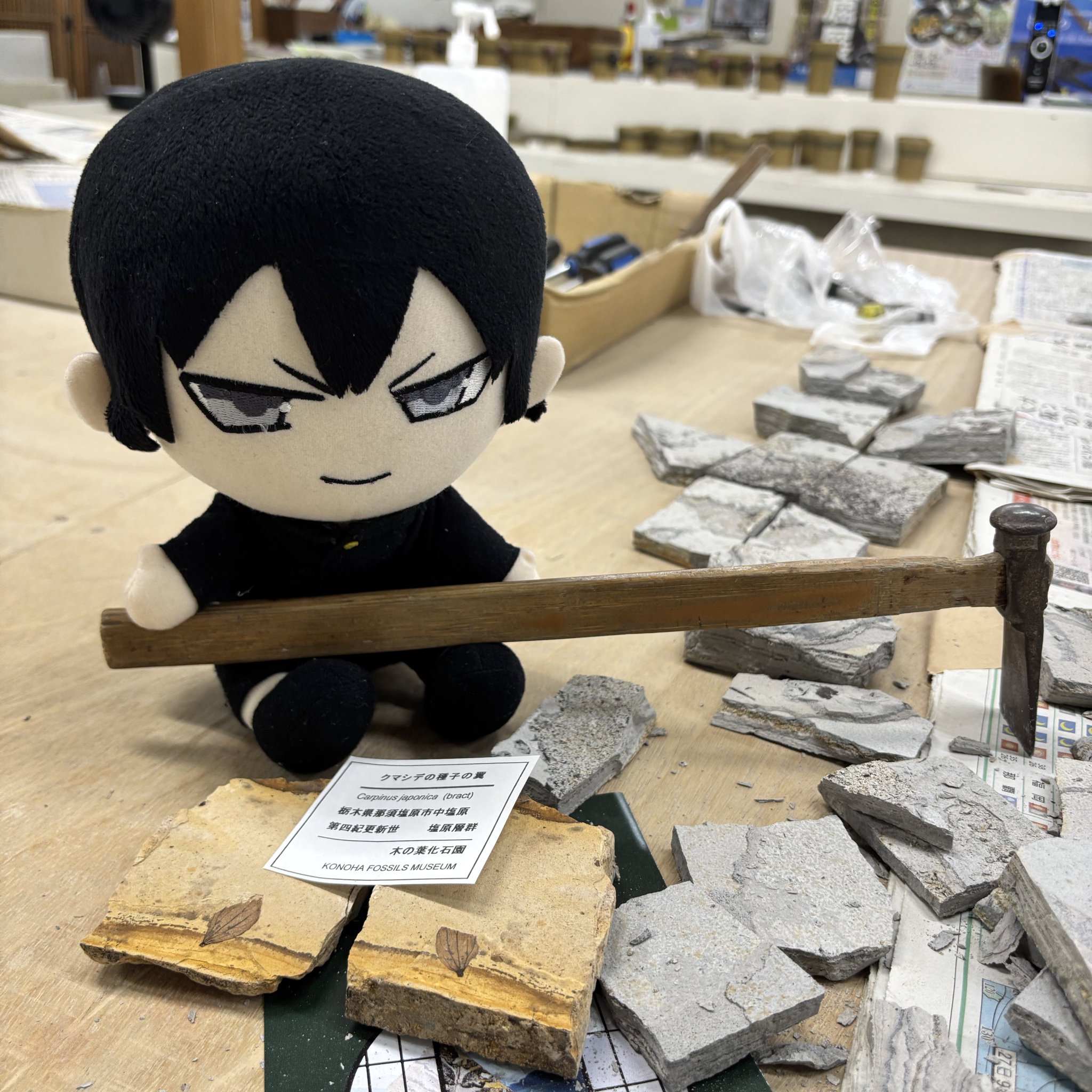 ぬい瀬 on X: 