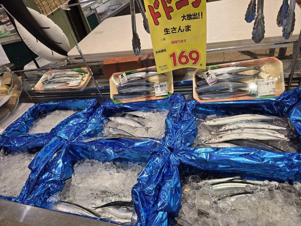 おはようございます(*｣´□`)｣