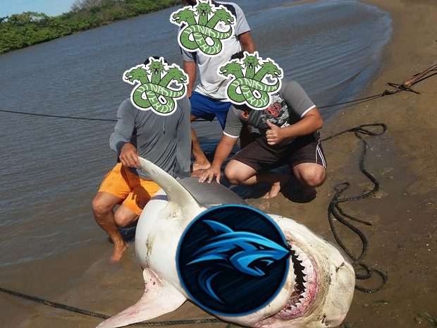 TDV BRUNINHONITZ (@bruninho_nitz) on Twitter photo Eu to na prancha, cuidado a dinastia vai te pescar!
NT <a href="/Tubaroes_dafiel/">Tubarões Da Fiel</a>. JOGÃO! Mas infelizmente a Dinastia sempre é superior!
Mais um 2x1 de virada pra casa. 😎 Eu to na prancha, cuidado a dinastia vai te pescar!
NT <a href="/Tubaroes_dafiel/">Tubarões Da Fiel</a>. JOGÃO! Mas infelizmente a Dinastia sempre é superior!
Mais um 2x1 de virada pra casa. 😎