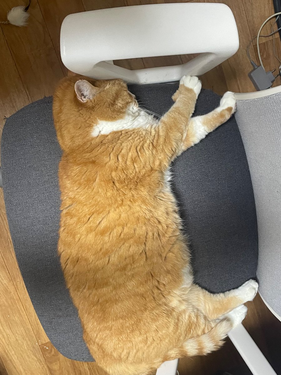 왜 머리를 짜부시키고 자는거지?