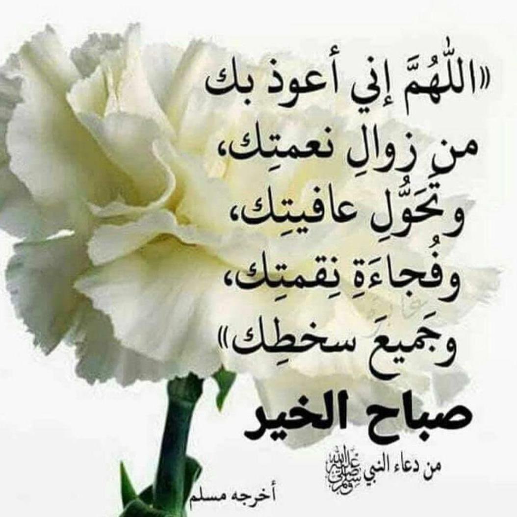 صباح الخير عليكم جميعا آحبتي 🌹