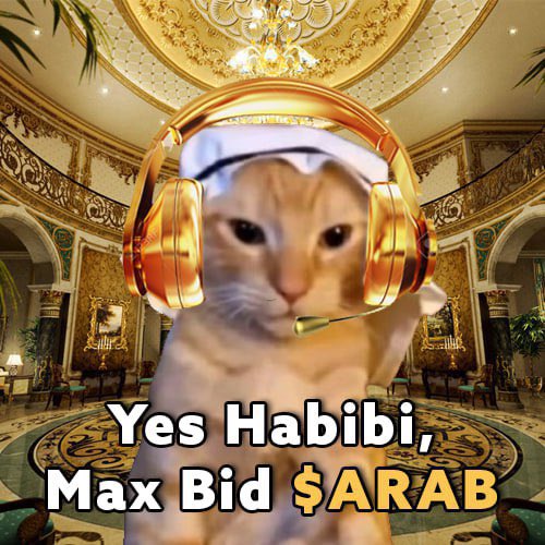 arab cat tweet media