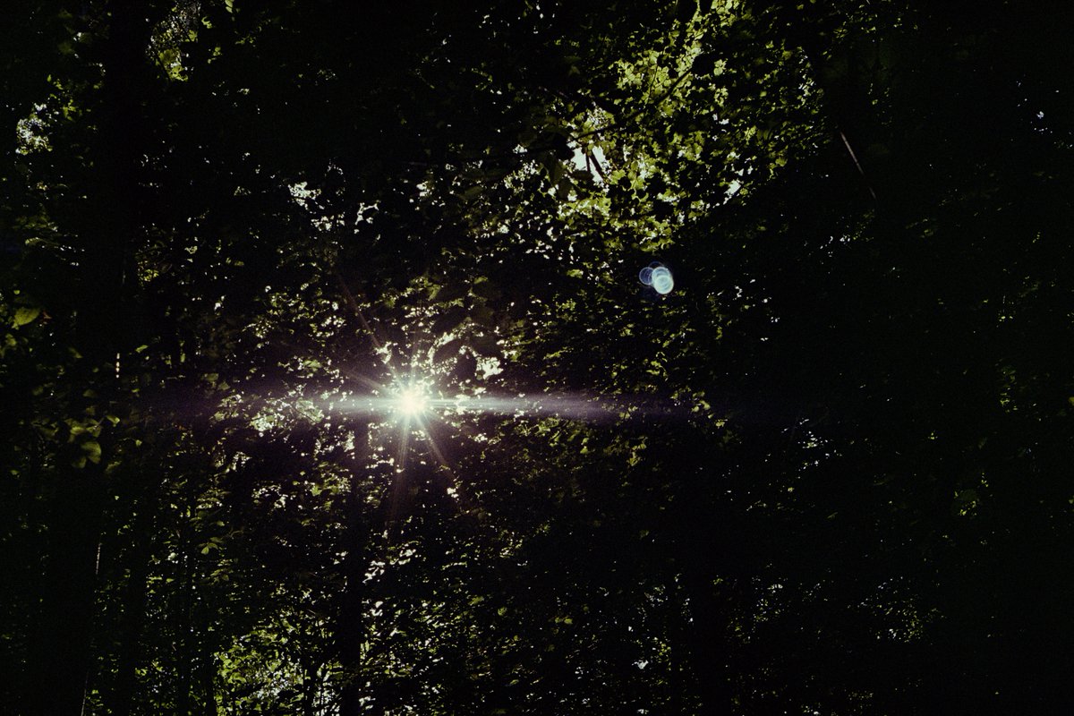 simon_diamond's tweet photo. This lens got confused and momentarily thought it was anamorphic😂
FED 5b
Industar 61 55mm F2.8
Kodak Gold 200
Jobo C-41
#CrappyCommieCameraParty #ShittyCameraChallenge #believeinfilm #photography https://t.co/Z5Z7NgXV0l