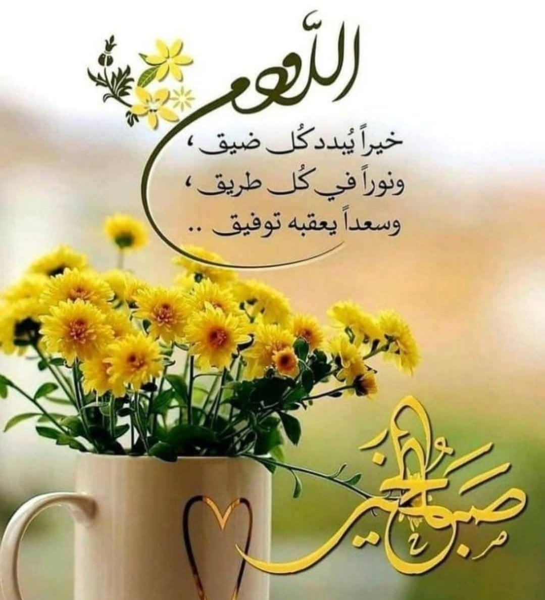 الصباح ليس وقتًا يبدأ فيه يومك فقط بل بداية جديدة تمنحك فرصة للابتسام من جديد
#صباح_الخير #صباح_الأشياء_المُشرقة