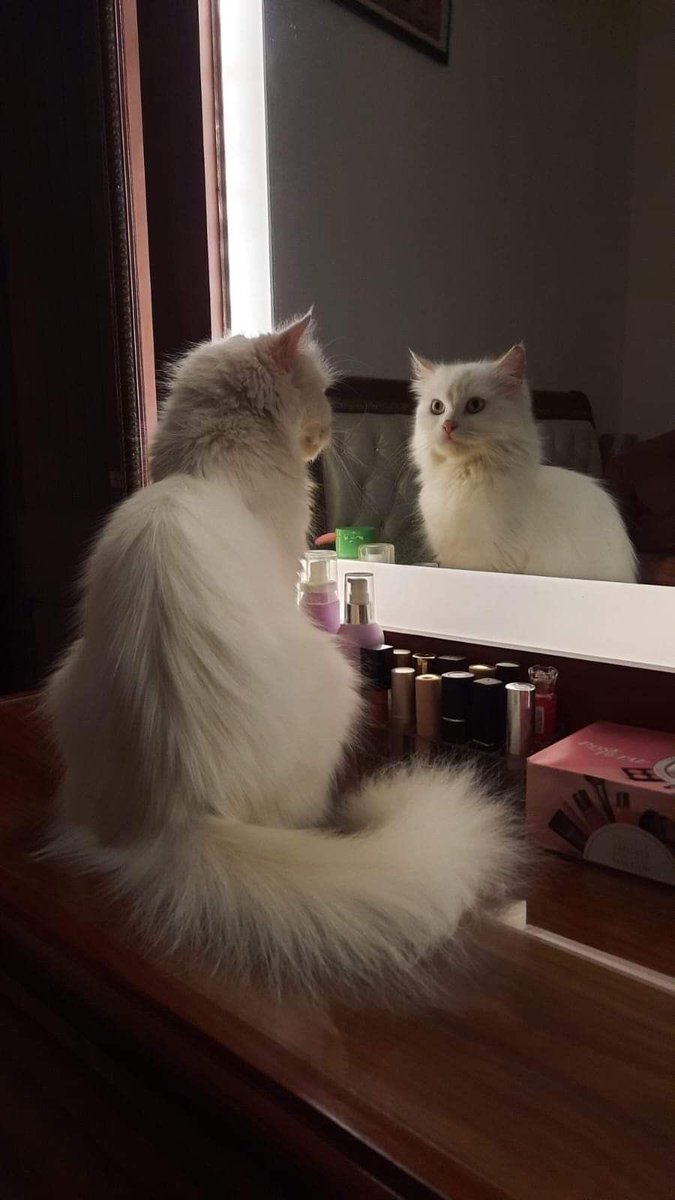 #صباح الخير وبعد .. 

"هوِّن على نفسك ..
فوالله ..
إذا أراد الله
ما منع مانعٌ .. ولا حجب حاجبٌ ..
إذا أراد الله ..
جاءتك الأماني خفيفةً
وصارت لك المستحيلات حقيقةً ..

﴿إِنَّمَا أَمْرُهُ إِذَا أَرَادَ شَيْئًا أَن يَقُولَ لَهُ كُن فَيَكُونُ﴾.

.
.

#صباح_الأشياء_المُشرقة 
#آشين