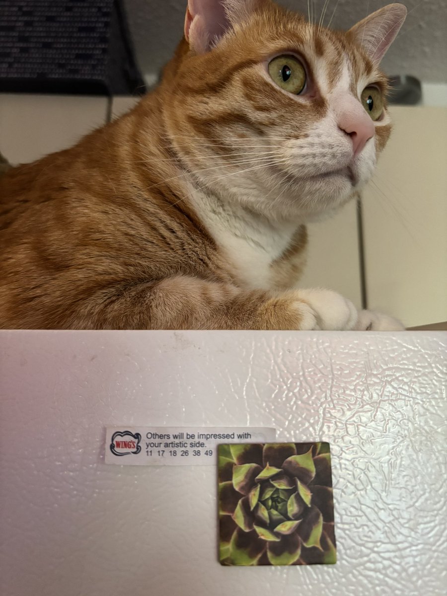 This one’s been on my fridge for four years.