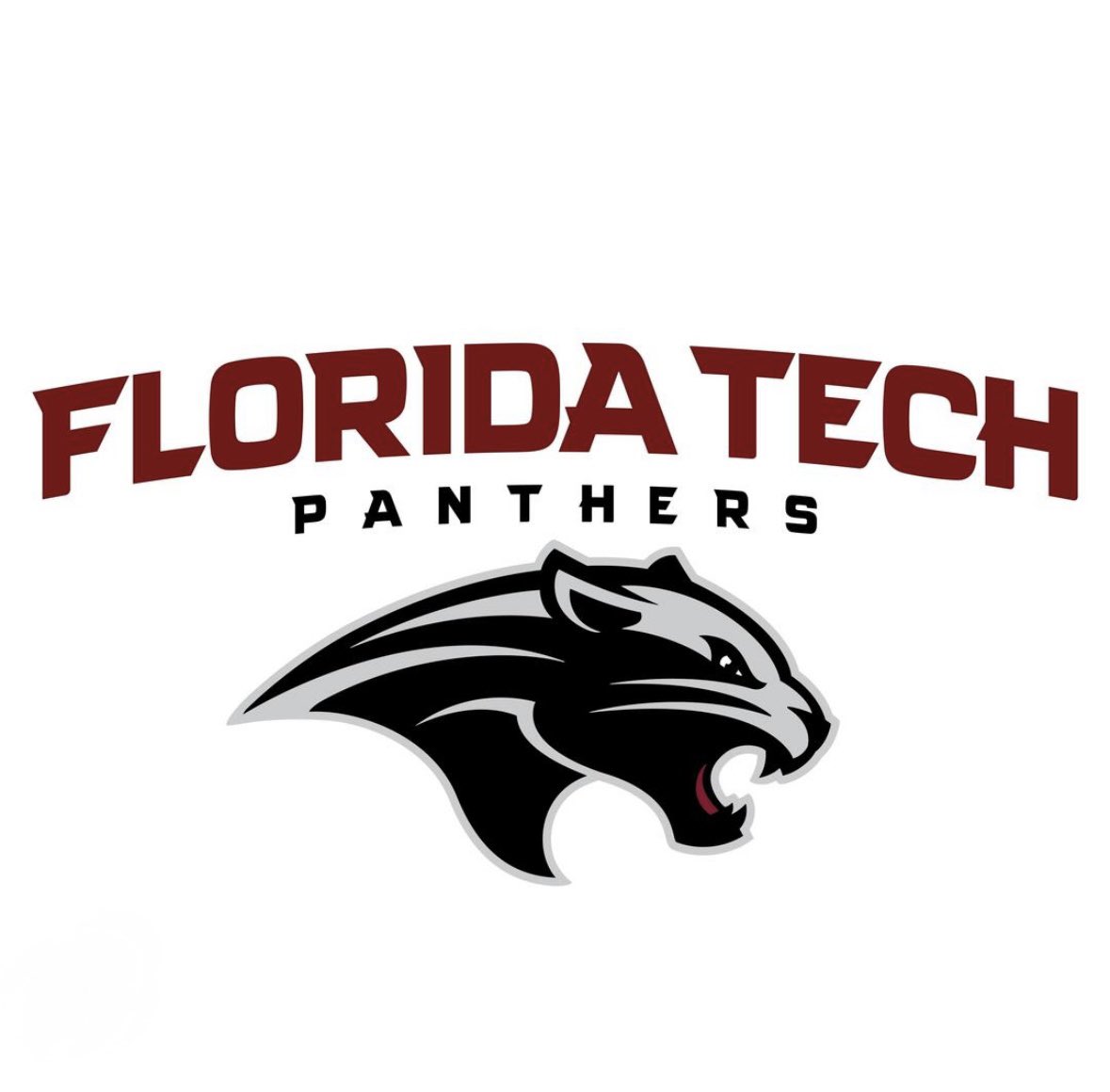 After a great conversation with the staff at <a href="/FloridaTechMBB/">Florida Tech Men's Hoops</a> I am blessed to say I have received my first Scholarship Division 2 offer to play college basketball.