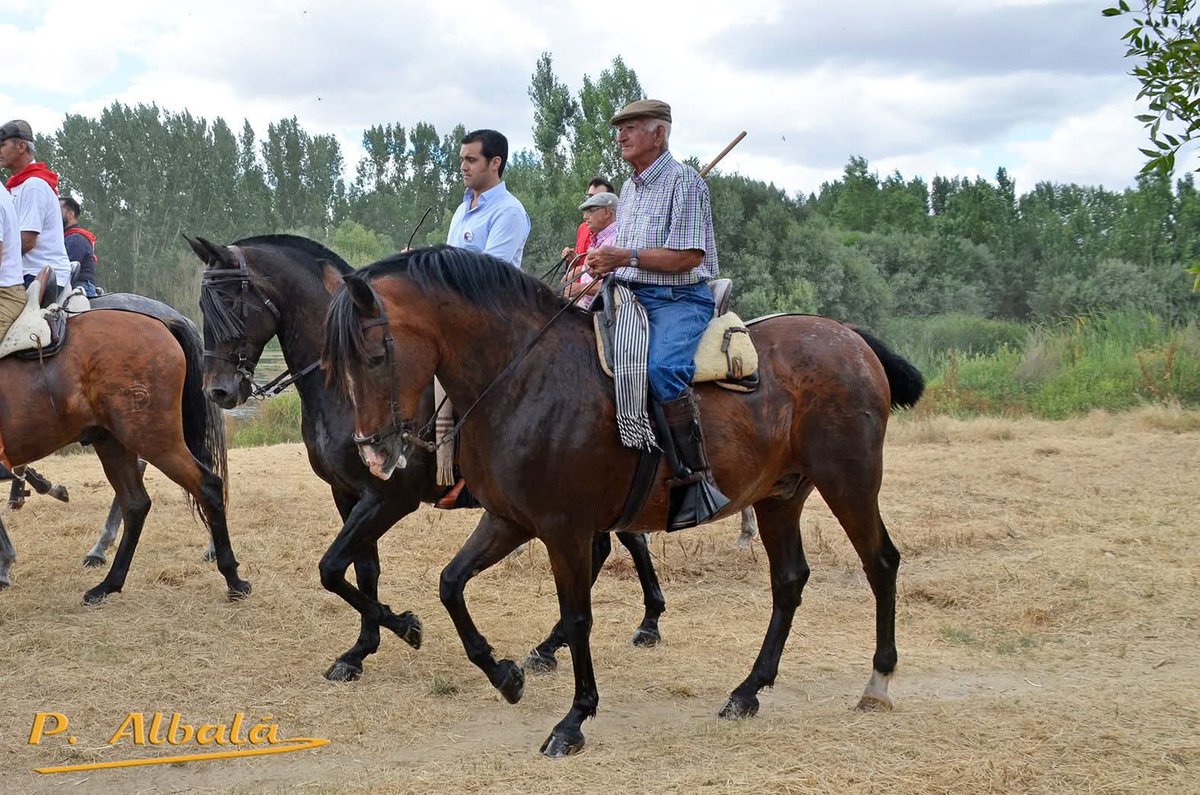 Asociación Mayorales tweet media
