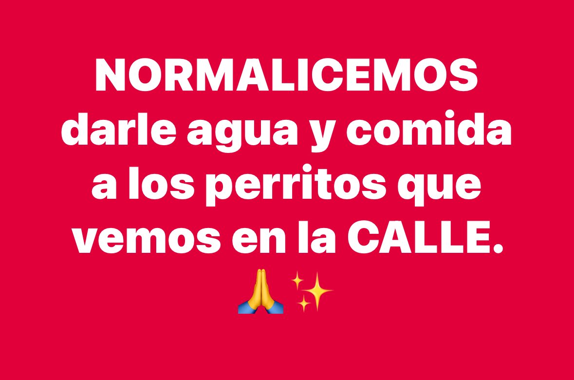 Maria Ampudia (@mariaampudiag_) on Twitter photo 