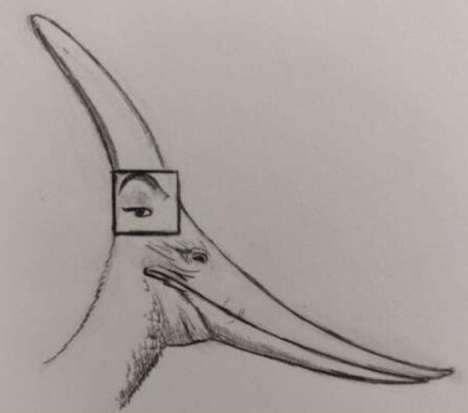 Cool Jurassic Park Opinions (@cooljpopinions) on Twitter photo 