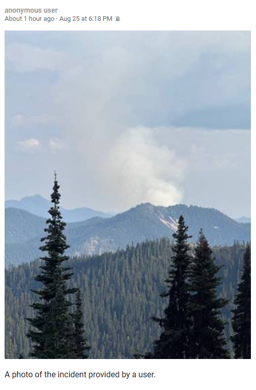 Wa_fire_watch's tweet image. #WildcatFire A new wildfire in the Cascades has popped up! 10 acres in size with air support coming in, 1 attack plane overhead with 2 scoopers just arriving... this is likely due to thunderstorms which were east of Mt. Rainer... Expect more possible fire starts later... #wawx