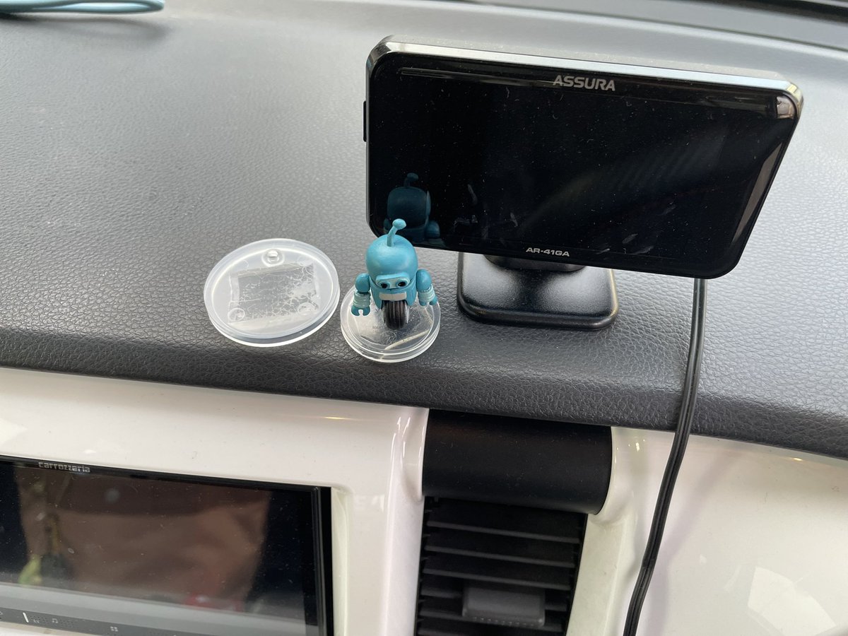 車に飾った初日、
手が当たって飛んでった…😩