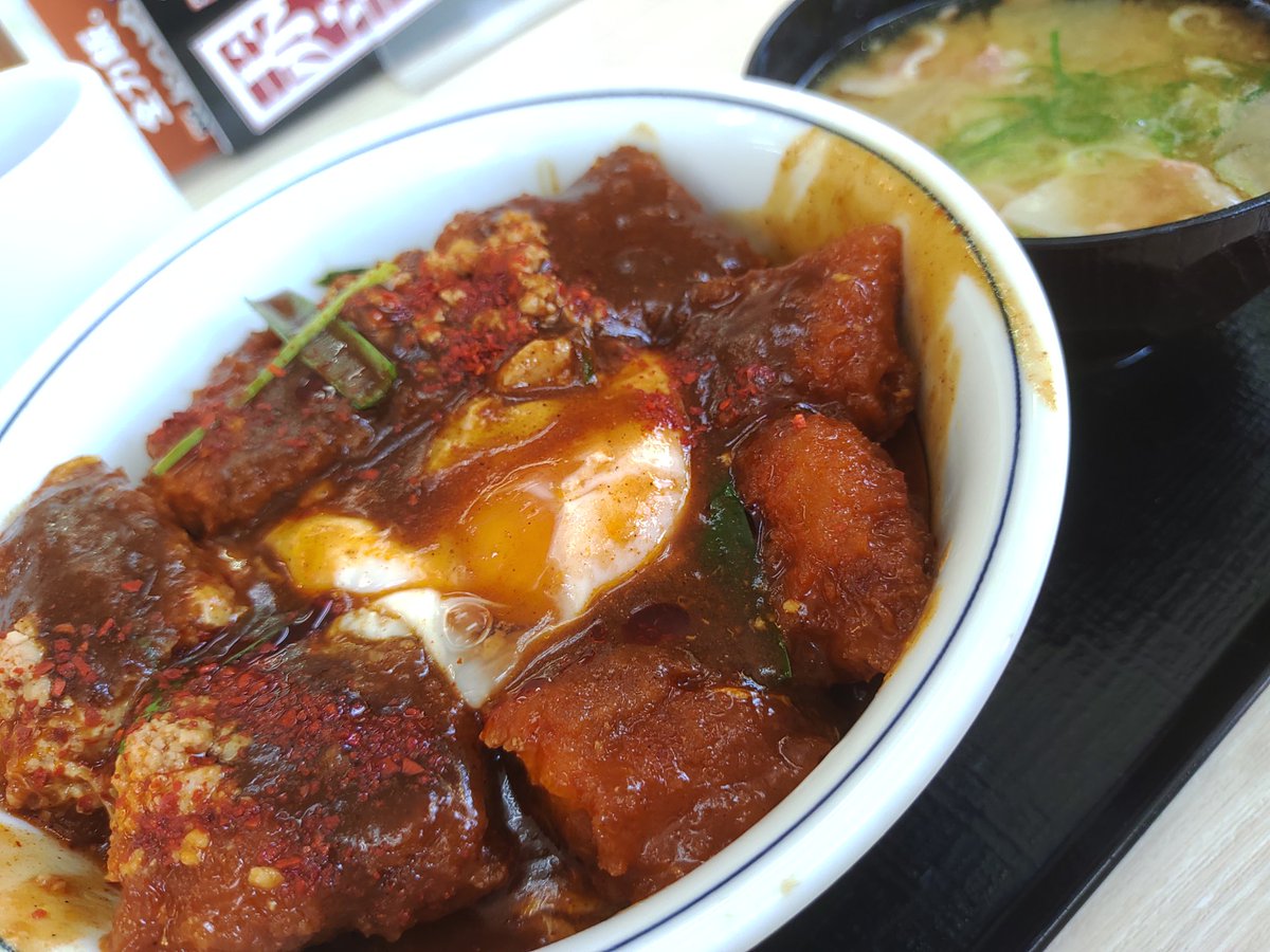 #1日1アイス
VS
かつやのカレーカツ丼