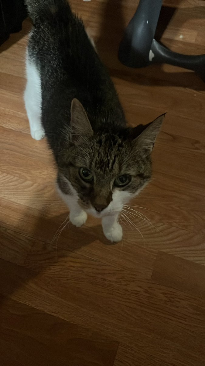 everyone say goodnight princess to my baby girl right now