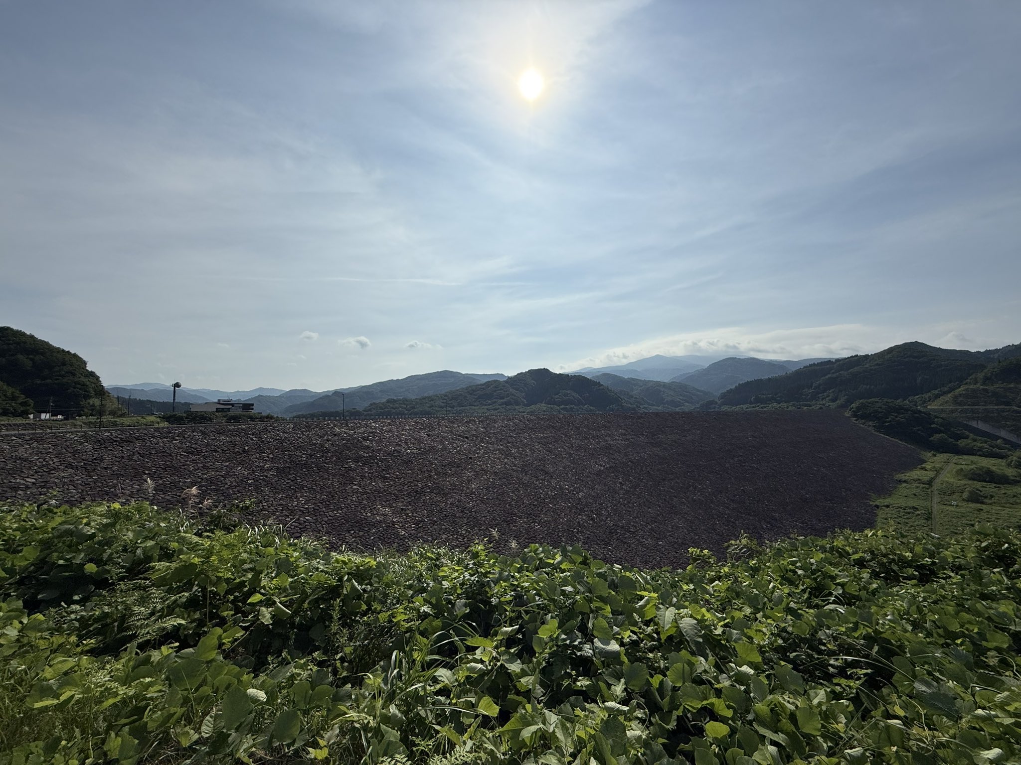 私がお届けします！ ほぼ未使用 モリヨシ カサブランカ 135×190cm ラグ