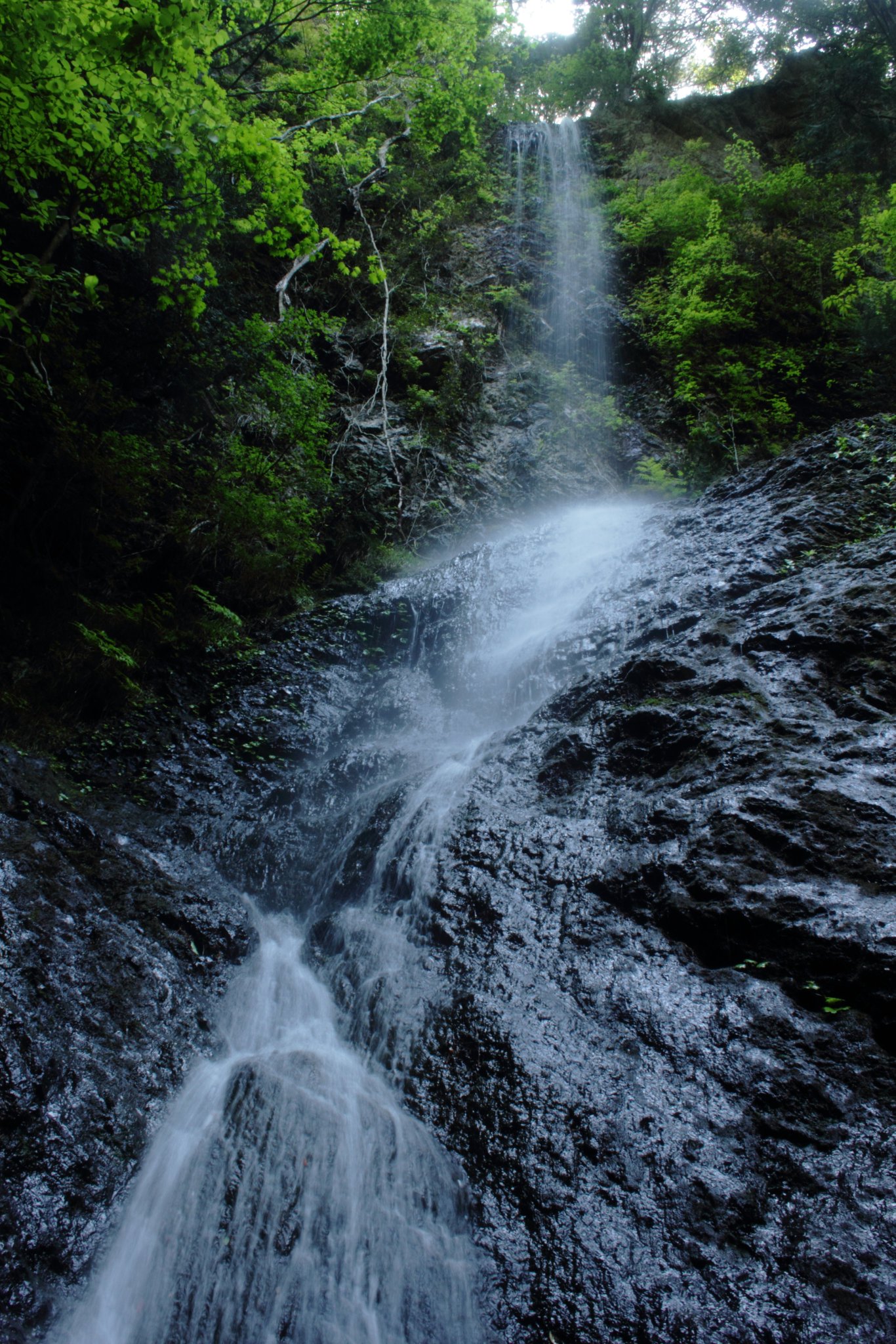 【真作】掛軸　滝のある山水画　静寂な自然の情景　渓流と滝　合箱入　Q193 真作】掛軸 滝のある山水画 静寂な自然の情景 渓流と滝 合