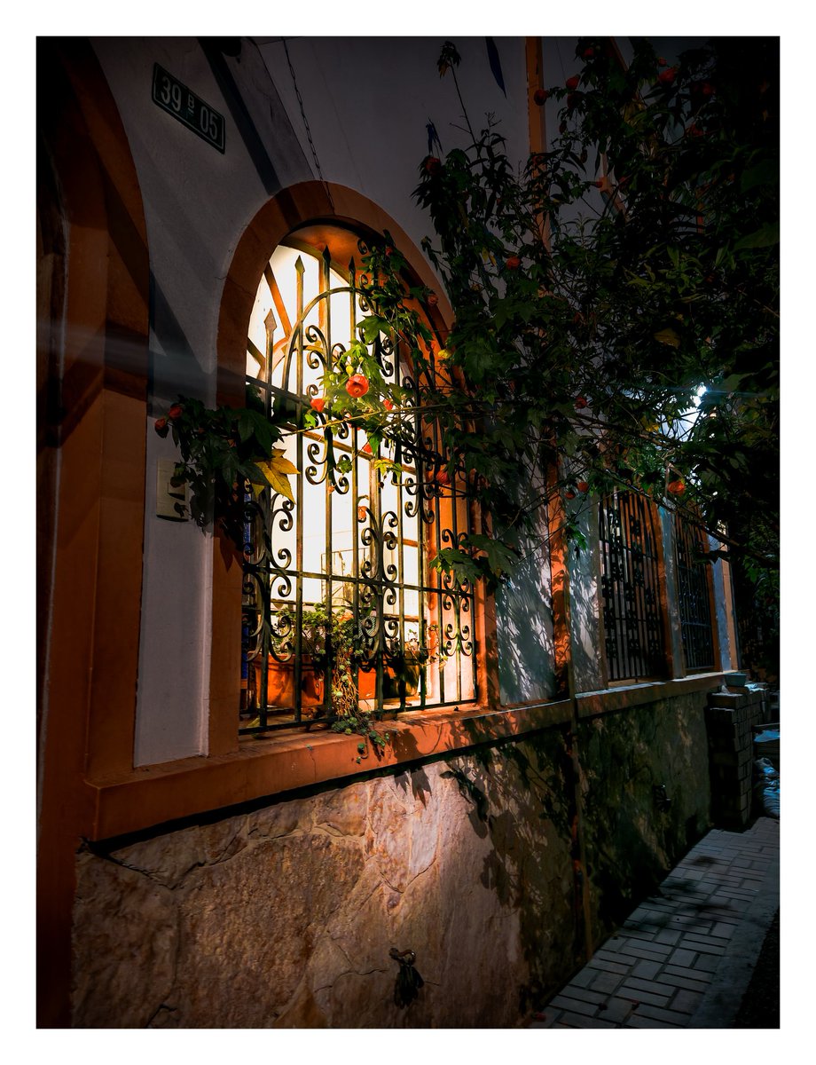 stephanyLect's tweet image. “El artista de genio no cambia la realidad, lo que cambia es nuestra mirada. La realidad sigue siendo la misma, pero la vemos a través de su obra, es decir, de un lente distinto.&quot;

—Julio Ramón Ribeyro 
#julioramonribeyro #booklover #book