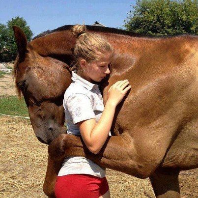 web.jpg (@webjpg) on Twitter photo 