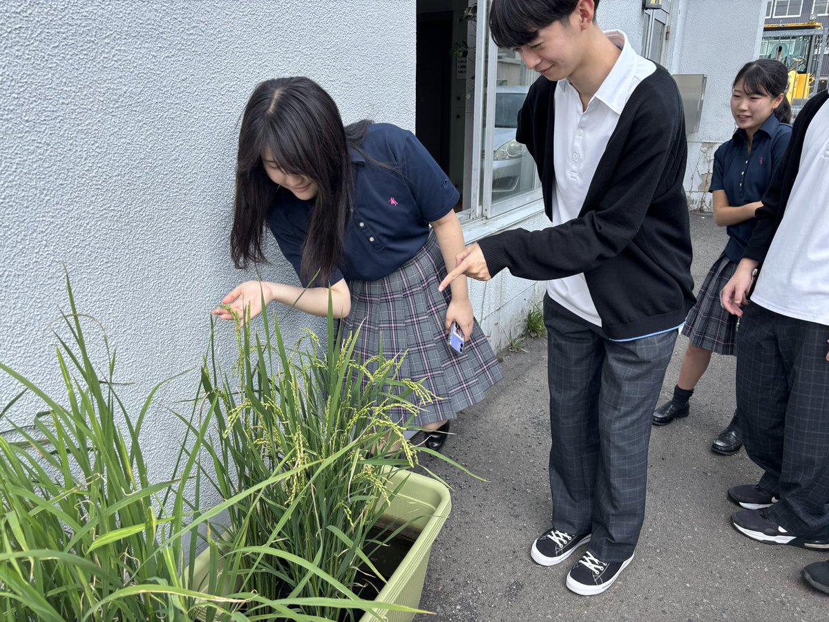 専修学校クラーク高等学院札幌大通校 tweet media