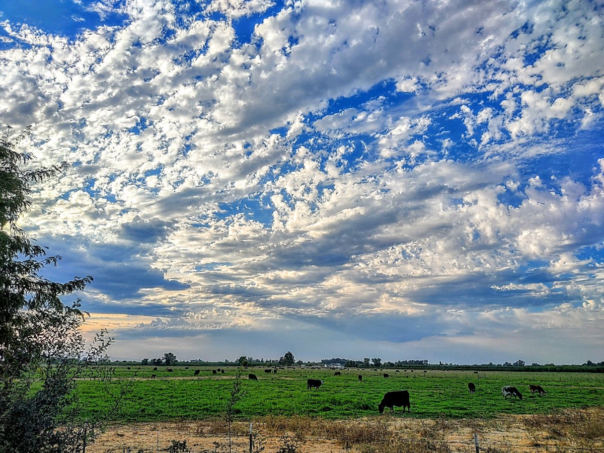Layin' low where heaven &amp; a dirt road touch...🇺🇲