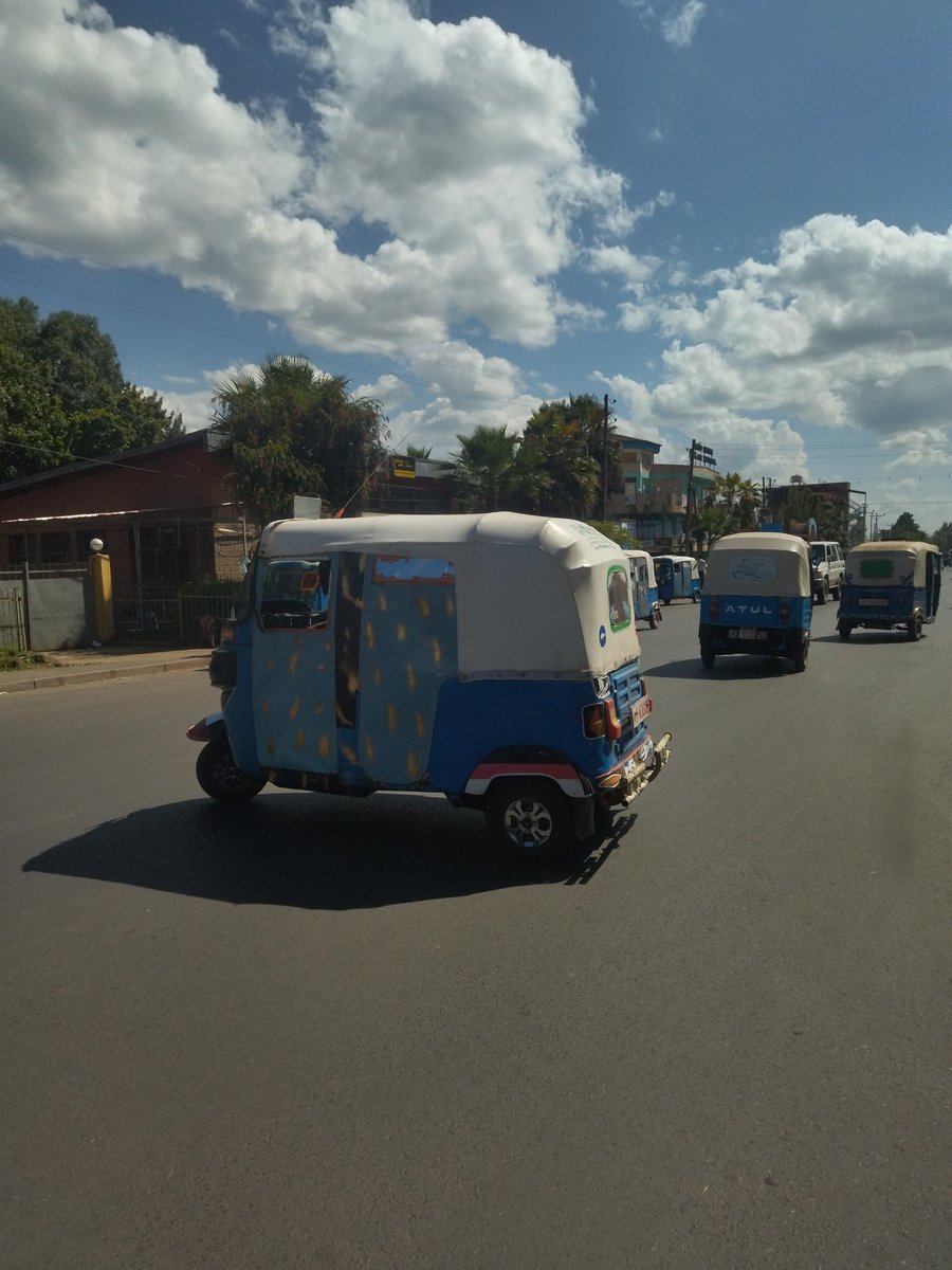 エチオピア🇪🇹
子どもたちや若者が多い。動物も多い。アディスアベバのど真ん中以外は馬牛がたくさん🐎🐂
また絶対来たい！って思った。