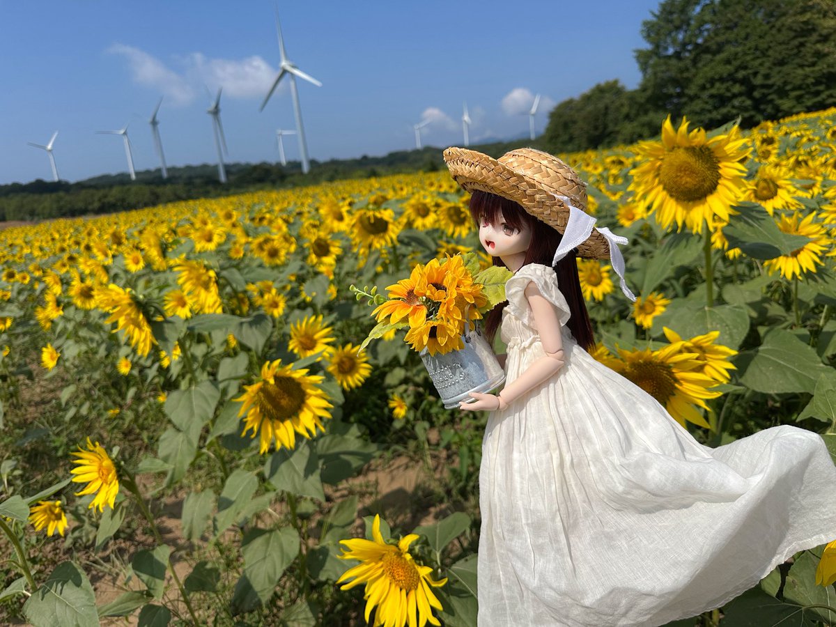 布引高原に9時過ぎ到着して、やったー青空出てる、なんて思ったのも束の間、あっという間に雲に覆われてしまいました残念。
あと弘樹さんと遭遇して色々教えて貰いました☺️
