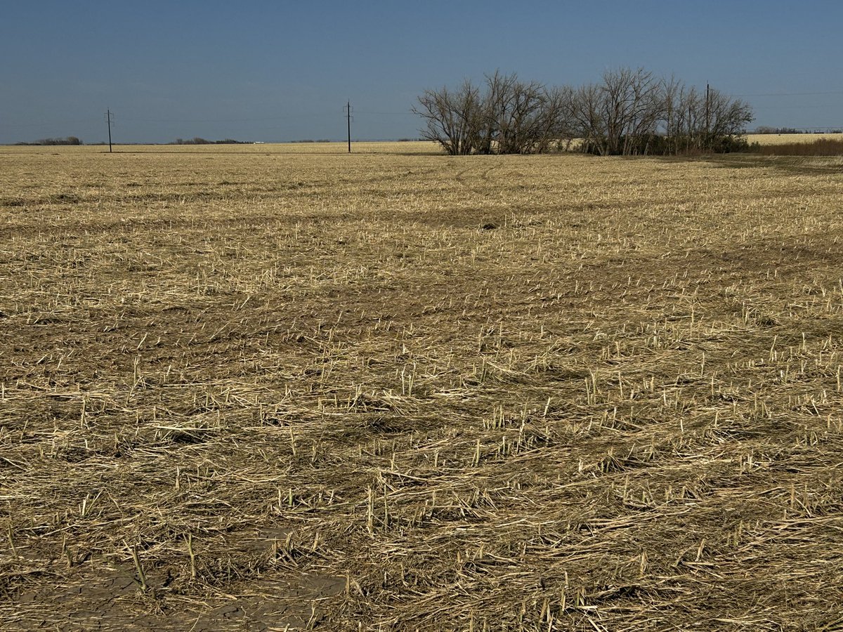 Jack Payne tweet media