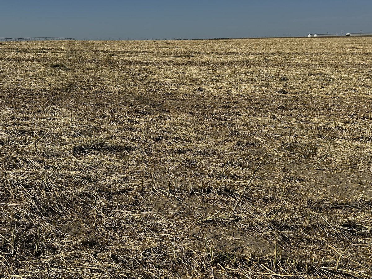 Jack Payne tweet media