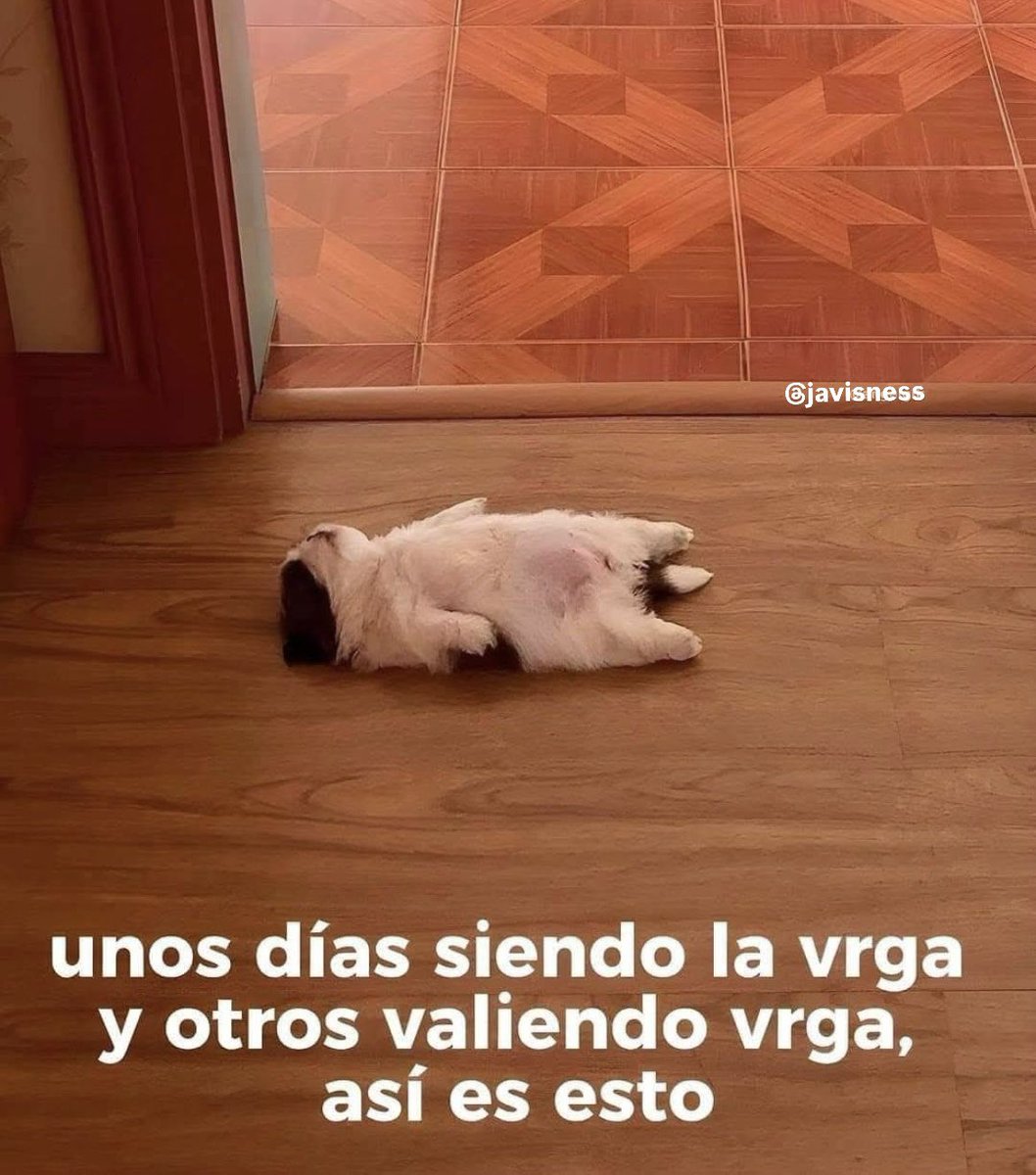 Javisness's tweet photo. https://t.co/a3E7WmmoXo