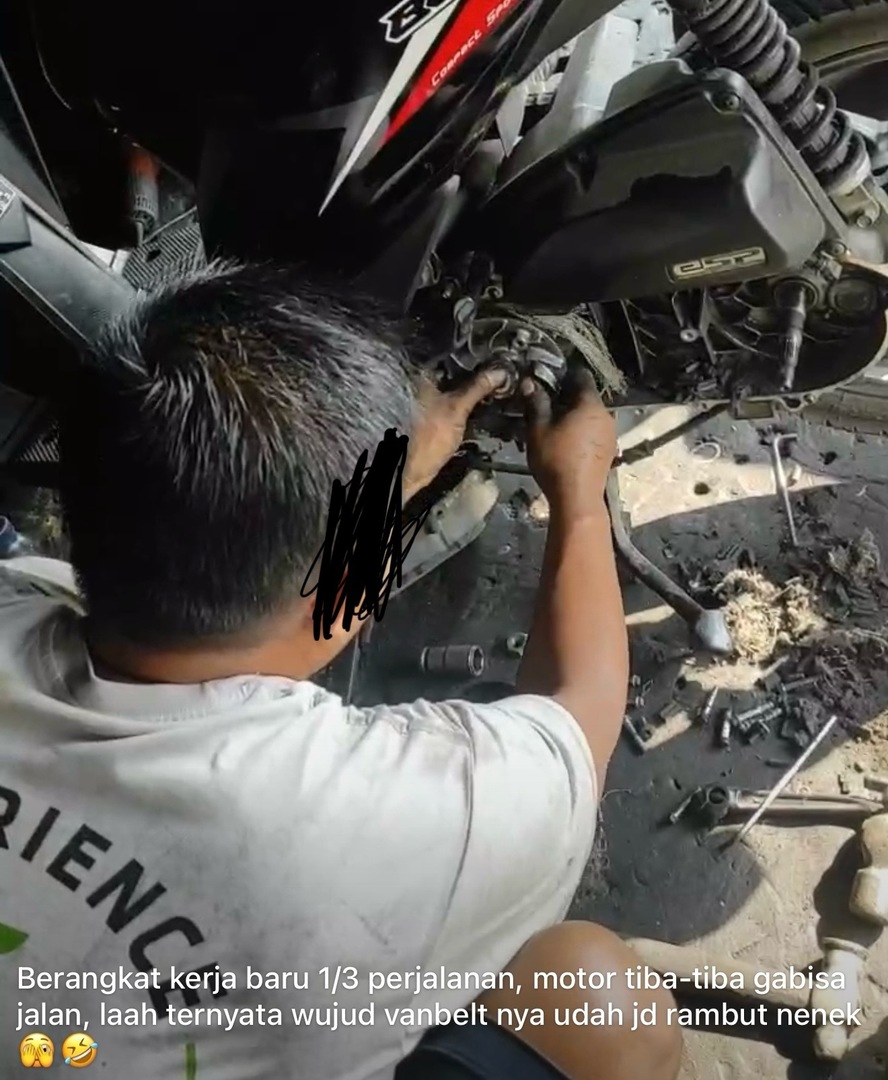 🦈 SUROBOYOFESS 🐊 tweet media