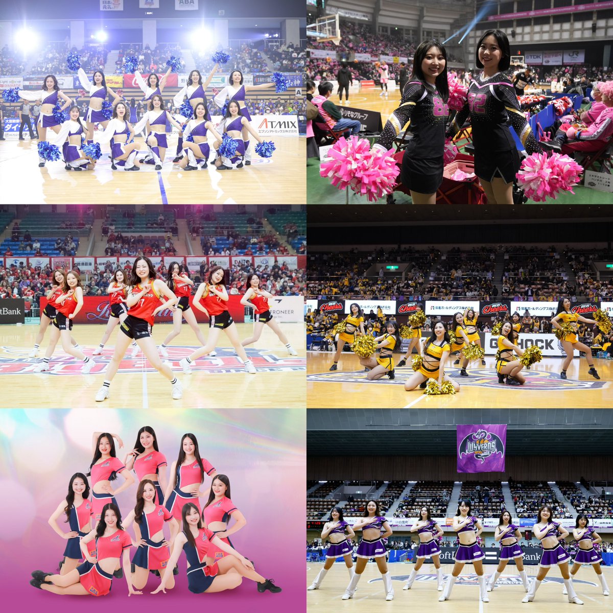 ◤チア合同パフォーマンス開催決定◢

「岩手日報社 Presents 第13回 TOHOKU CUP 2025 in IWATE Supported by 盛岡市」にて「東北6クラブ チア合同パフォーマンス」を開催することになりましたのでお知らせいたします！