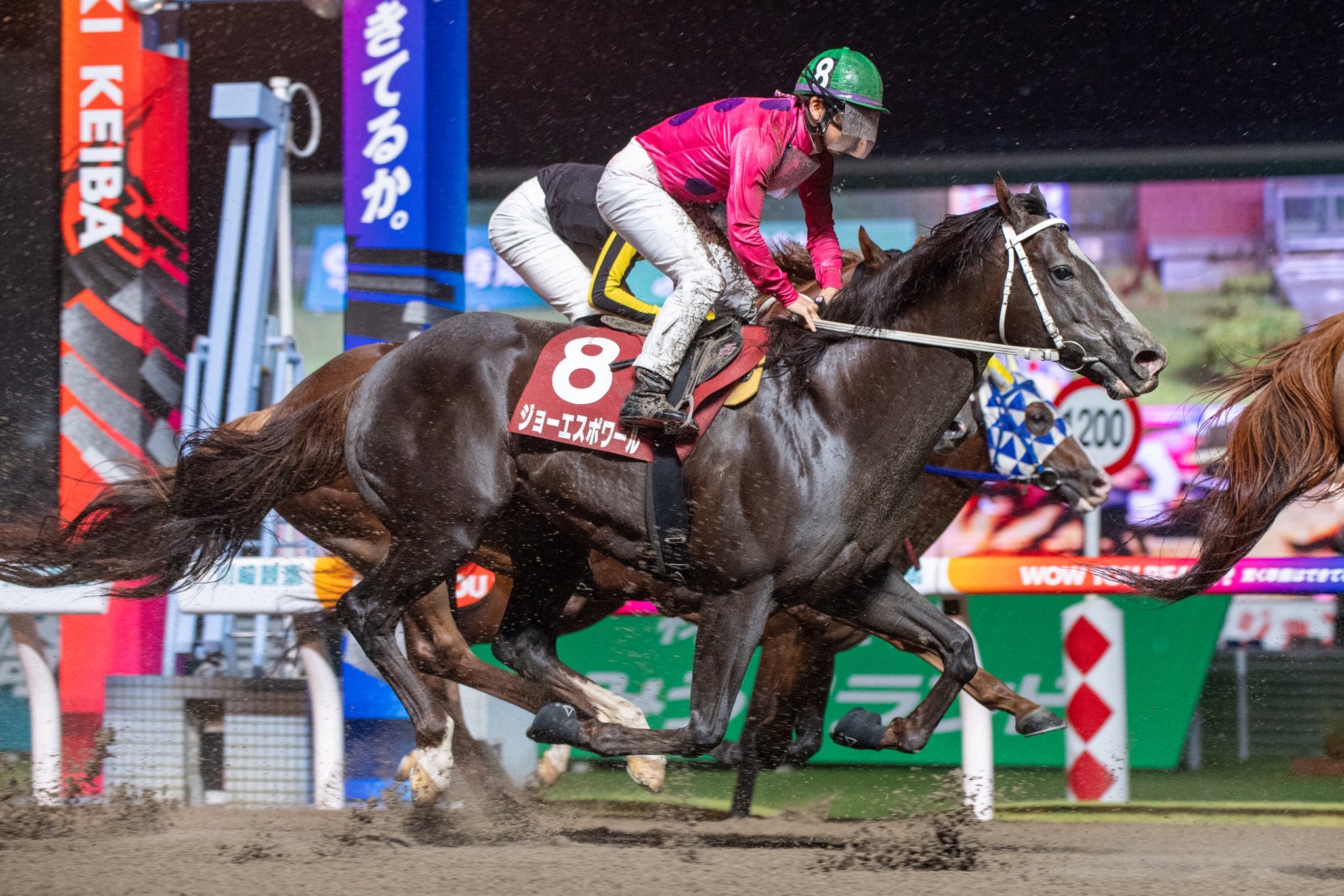 日刊スポーツ競馬ページ　2023年1〜8月　46枚 日刊スポーツ競馬ページ 2023年1〜8月 46枚 日刊スポーツ競馬