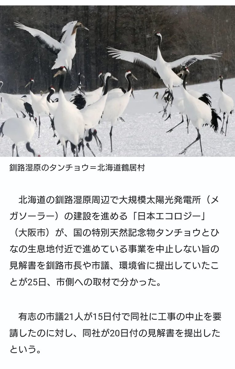 中止しないんだ！？

なぜ、そう結論だしたかを知りたい。

生態系が壊れない保証なんかないよね？