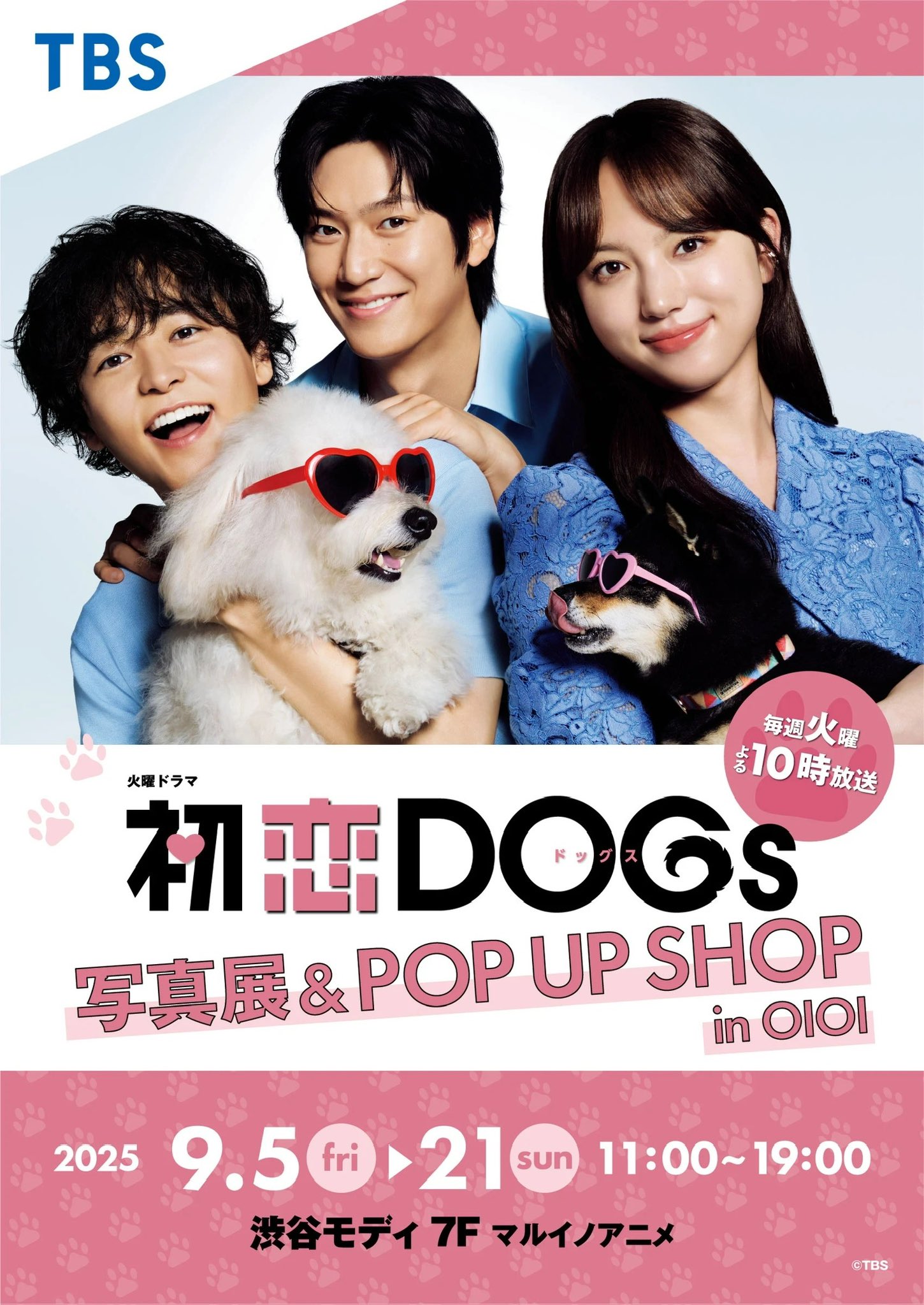 初恋DOGs ポスター 夏らしさ満載のポスタービジュアルが解禁！さらに、公式HPも