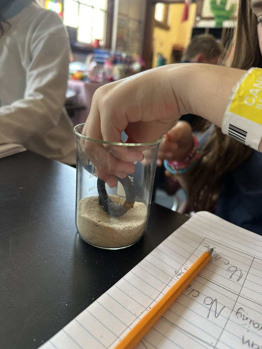 Lily B. Clayton Elementary School (@lbclaytonfwisd) on Twitter photo Sweet Lily B 5th grade scientists in Ms. Green’s class found the most efficient way to separate iron filings from sand today…. With a magnet!! 🧲 Way to go! #sweetlilyb #5thgradescientist #unleashexcellence #fwisd <a href="/pdilley5/">Priscila Dilley, Ed.D</a> <a href="/CC_Renteria/">Christine Cano Renteria</a> <a href="/MsReedAP/">Katy Reed</a> <a href="/APMontoyaFWISD/">E.Montoya</a> <a href="/FortWorthISD/">Fort Worth Independent School District</a> Sweet Lily B 5th grade scientists in Ms. Green’s class found the most efficient way to separate iron filings from sand today…. With a magnet!! 🧲 Way to go! #sweetlilyb #5thgradescientist #unleashexcellence #fwisd <a href="/pdilley5/">Priscila Dilley, Ed.D</a> <a href="/CC_Renteria/">Christine Cano Renteria</a> <a href="/MsReedAP/">Katy Reed</a> <a href="/APMontoyaFWISD/">E.Montoya</a> <a href="/FortWorthISD/">Fort Worth Independent School District</a>