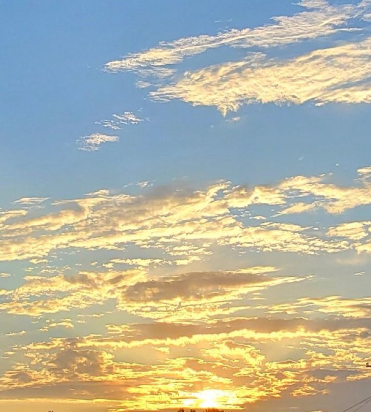 sanjayvatts's tweet image. Good morning! 🌅
Rise with the sun and chase your dreams with unstoppable fire. Today’s a fresh canvas—paint it with courage, kindness, and bold moves. You’ve got this! 🌞💪 #MorningMotivation #SeizeTheDay