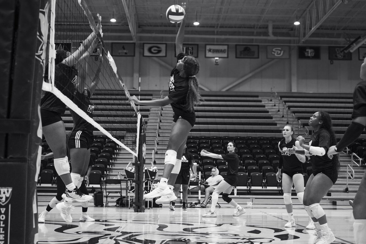 Black &amp; white frames, golden focus ✨
Season is almost here 🦁