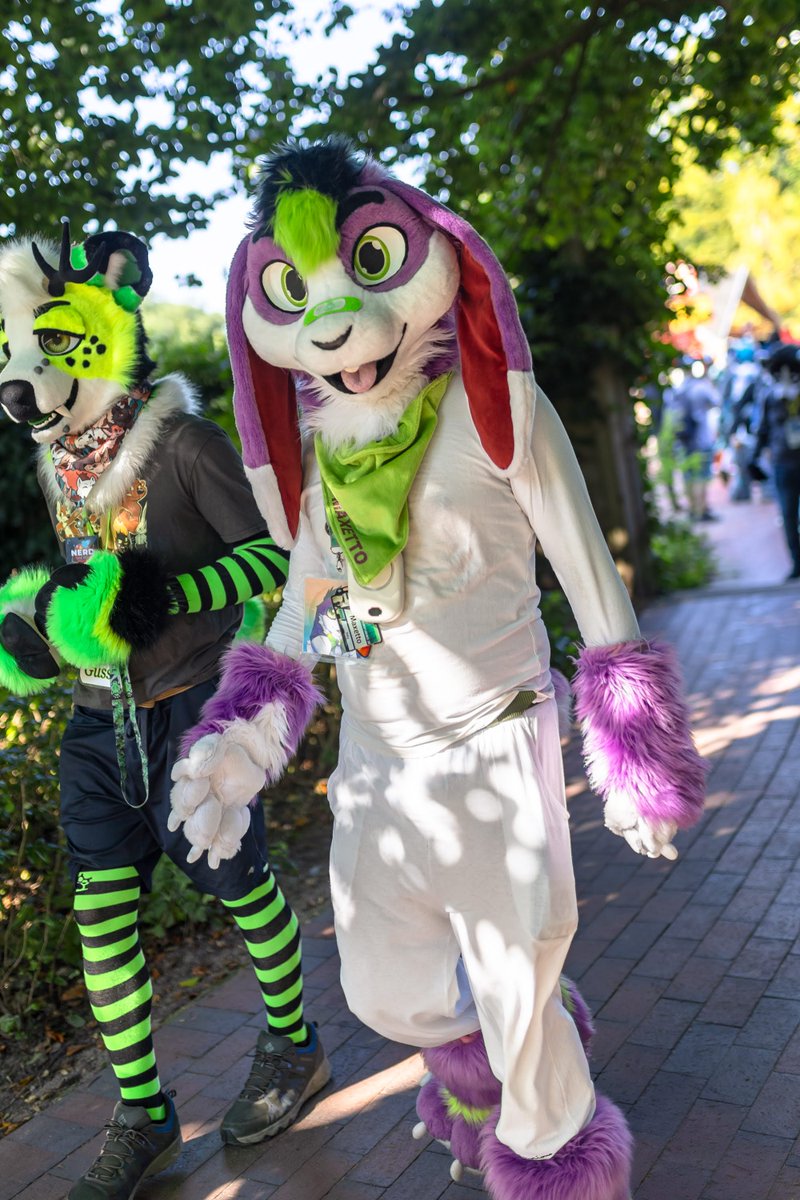MaxettoBuni's tweet photo. All my friends going to EuroFurence soon, but Buni can't attend this year. 😭
So have an old memory, to keep my mood up.

🪡@LorfyTheFox
📸@k44chu
📍#EF28 https://t.co/W0PzFwkZyC
